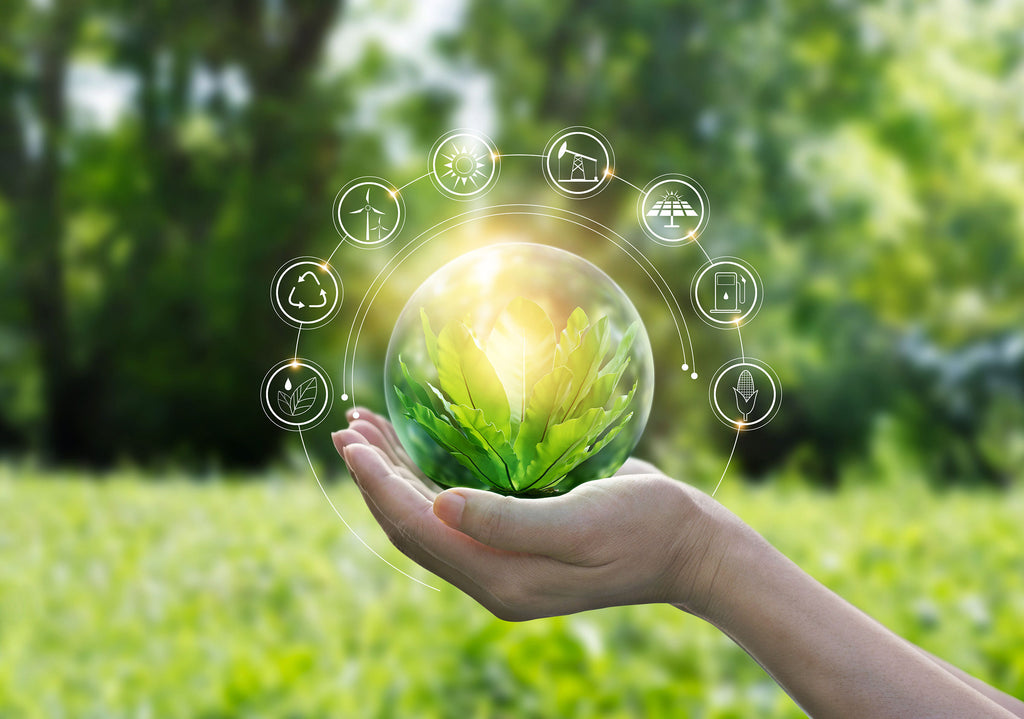 Carbon Neutral Energy Efficient