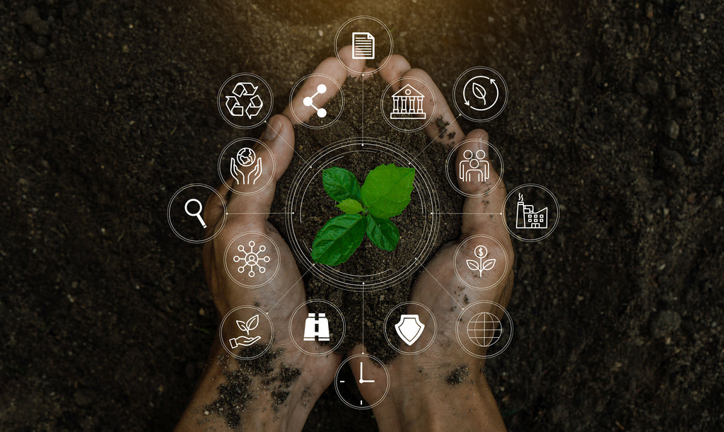 Social Awareness
